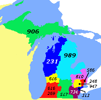 Michigan-area-codes