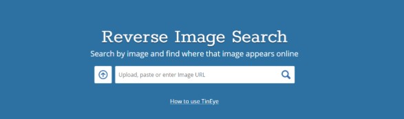 Tineye search form 
